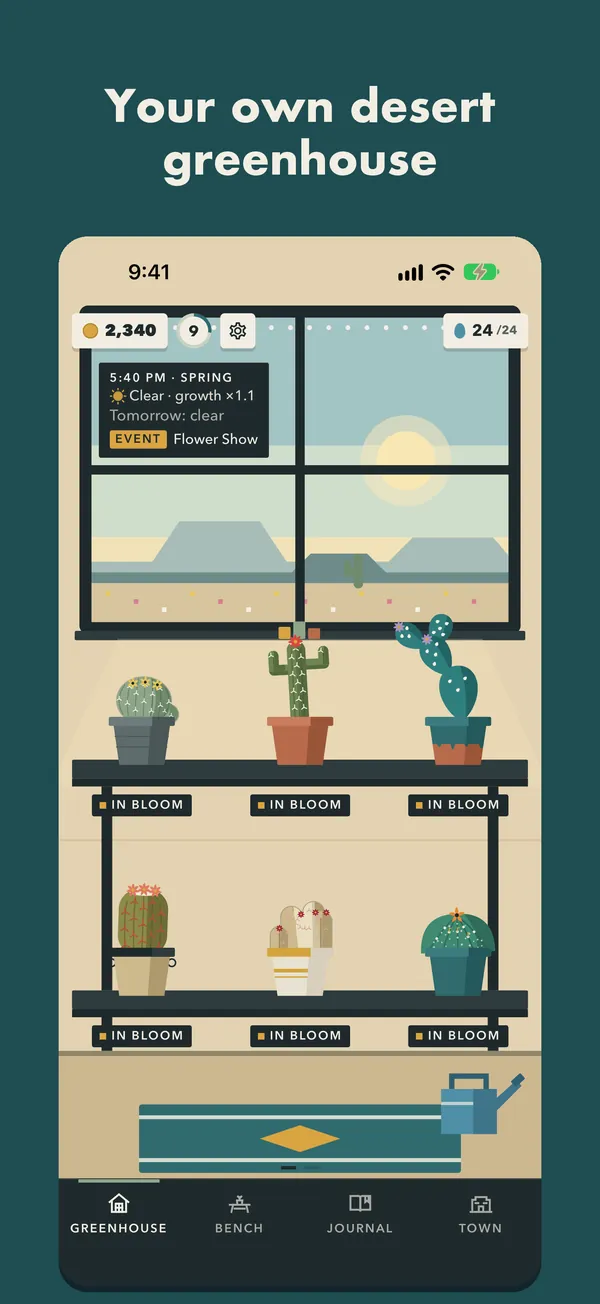 Pocket Cactus: your own desert greenhouse, with potted cacti on wooden shelves.